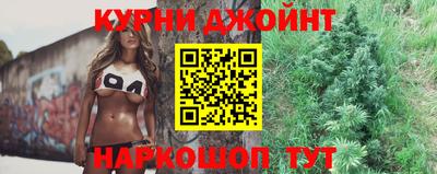 индика Краснознаменск