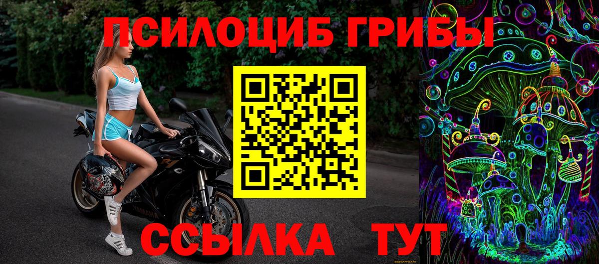 Арзамас  Галлюциногенные грибы Cubensis  Вход с VPN 